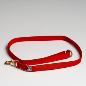 Leads