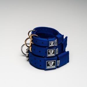 Heavy Duty Dog Collars