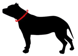 Combat Canine Supplies Heavy Duty Collars