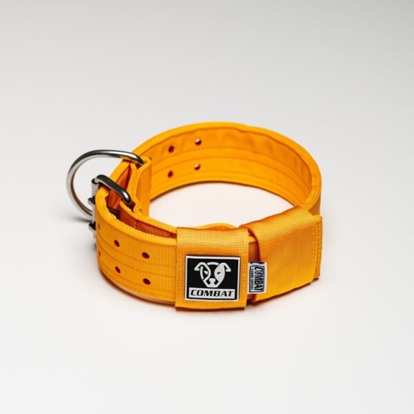 Yellow - Image 4