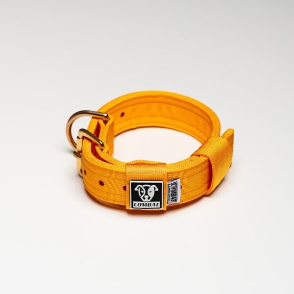 Yellow - Image 3