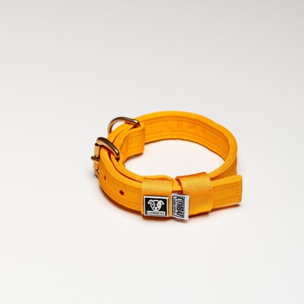 Yellow - Image 2