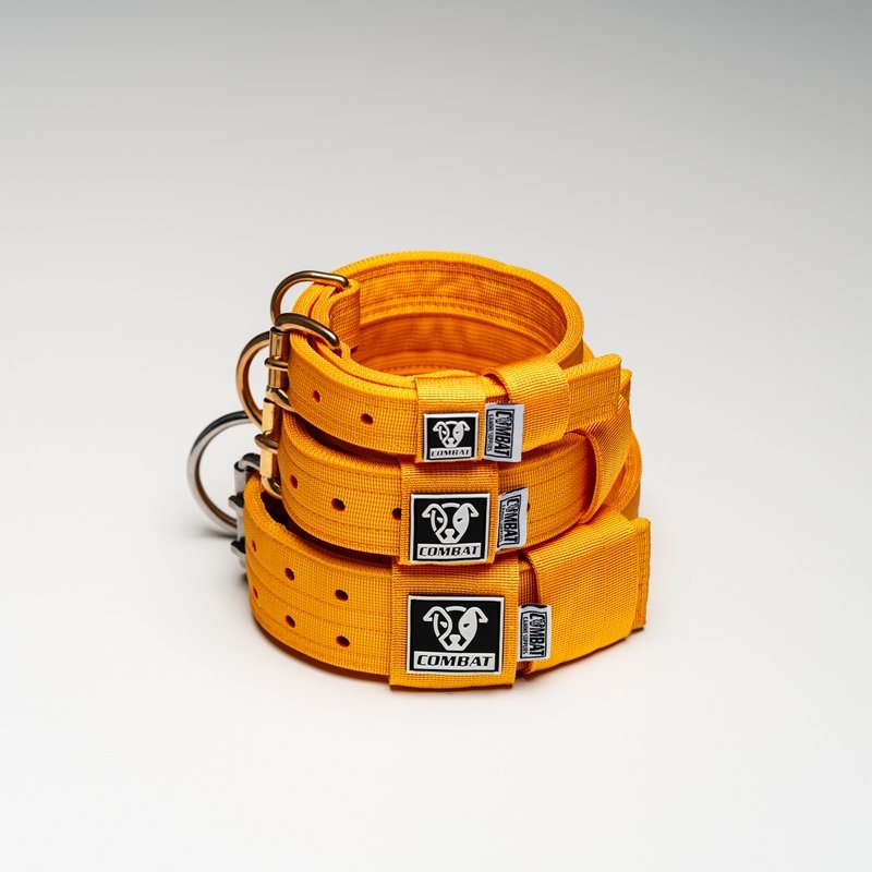 Yellow Heavy Duty Dog Collars