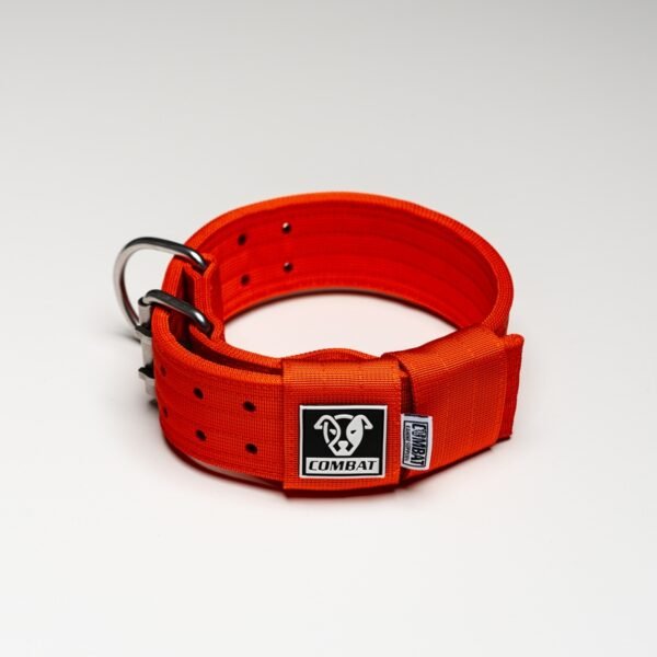 Orange - Image 4