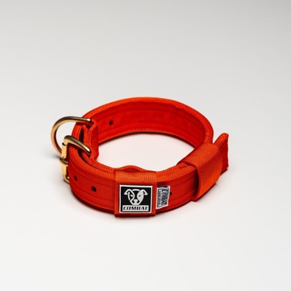 Orange - Image 3