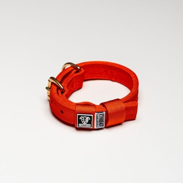 Orange - Image 2