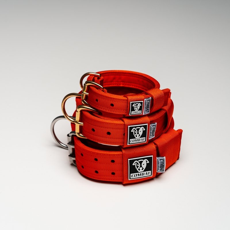 Orange Heavy Duty Dog Collars