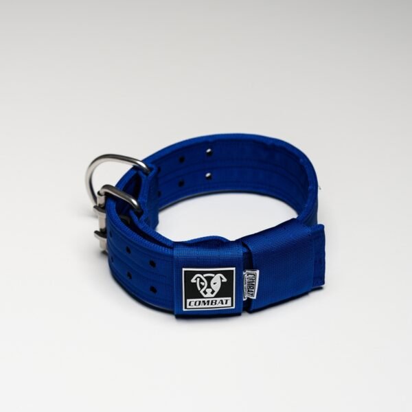 Blue - Image 4