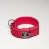 Pink - Image 4