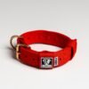 Red - Image 3