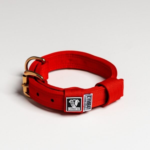 Red - Image 2