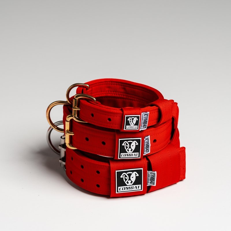 Red Heavy Duty Dog Collars