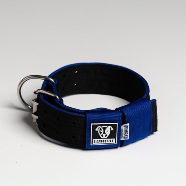 Black + Blue - Image 4