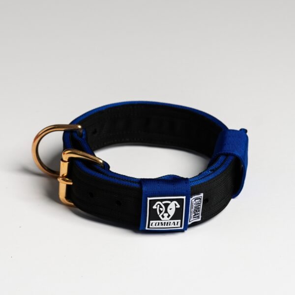 Black + Blue - Image 3