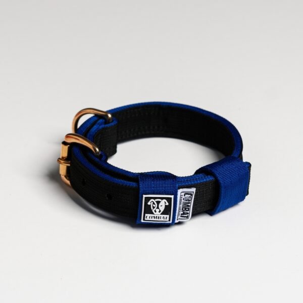 Black + Blue - Image 2