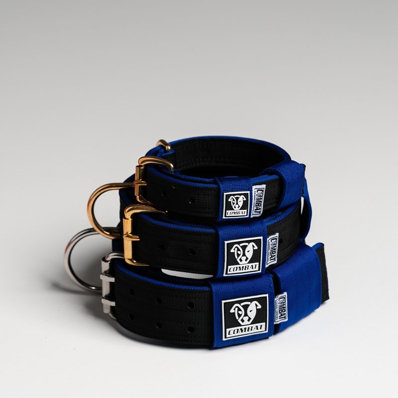 Black + Blue Heavy Duty Dog Collars