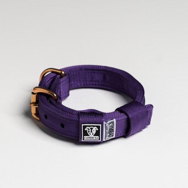 Purple - Image 4