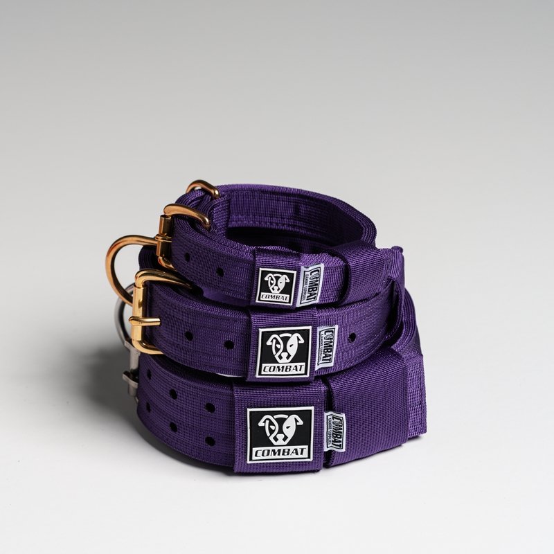 Purple Heavy Duty Dog Collars