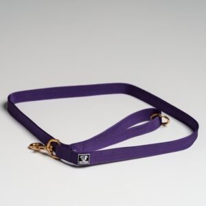 Purple Leads