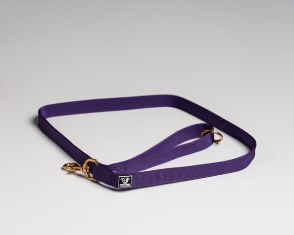 Purple Leads
