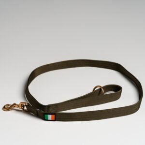 Olive (Irish) Leads