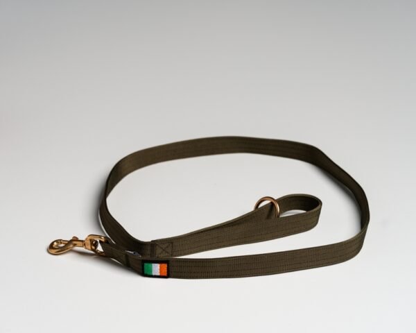 Olive (Irish) Leads