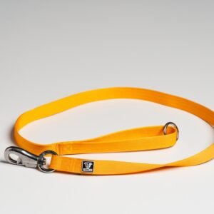Yellow Leads