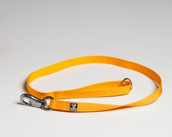 Yellow Leads