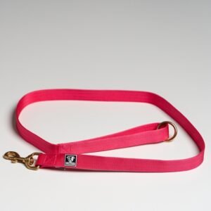 Pink Leads