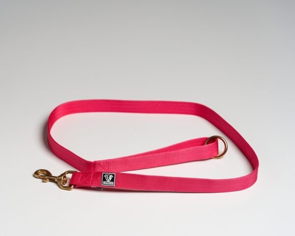 Pink Leads