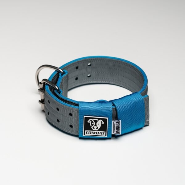 Grey + Blue - Image 4
