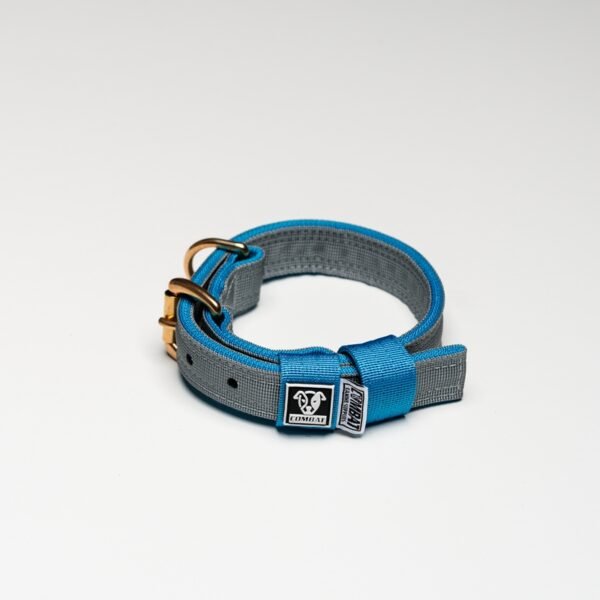 Grey + Blue - Image 2