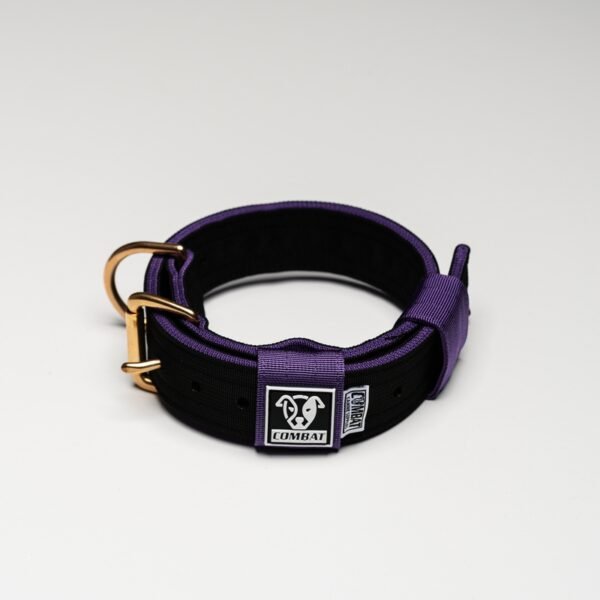 Black + Purple - Image 3