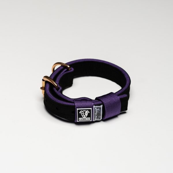 Black + Purple - Image 2