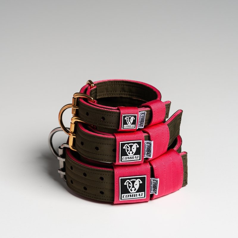 Olive + Pink Heavy Duty Dog Collars