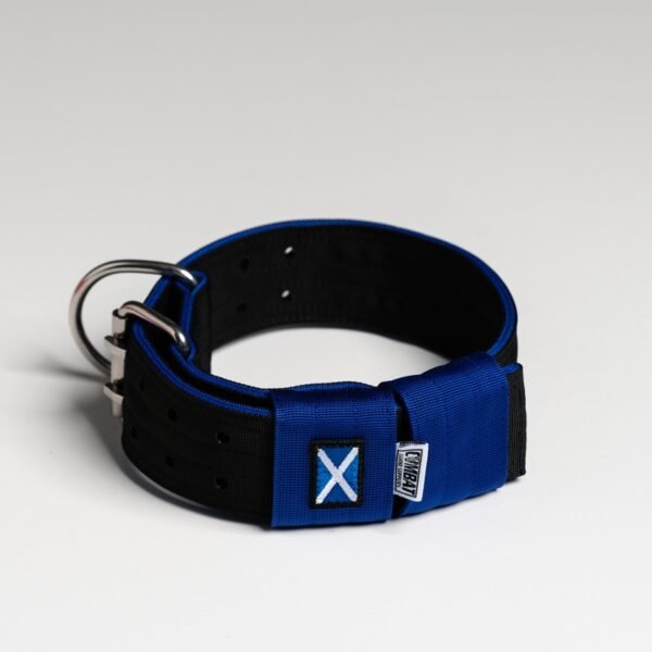 Black + Blue (Scottish) - Image 4
