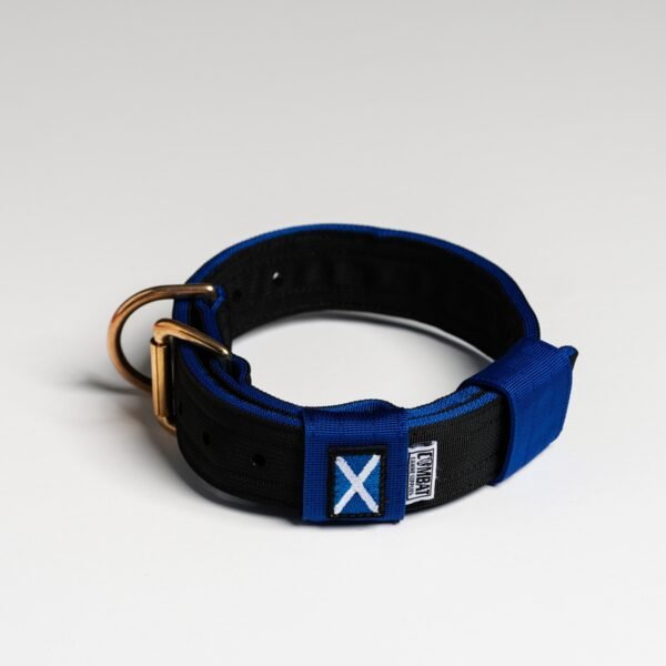 Black + Blue (Scottish) - Image 3