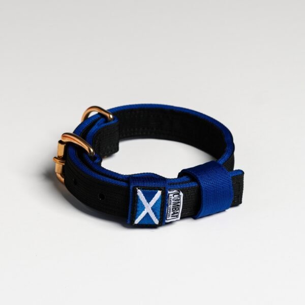 Black + Blue (Scottish) - Image 2