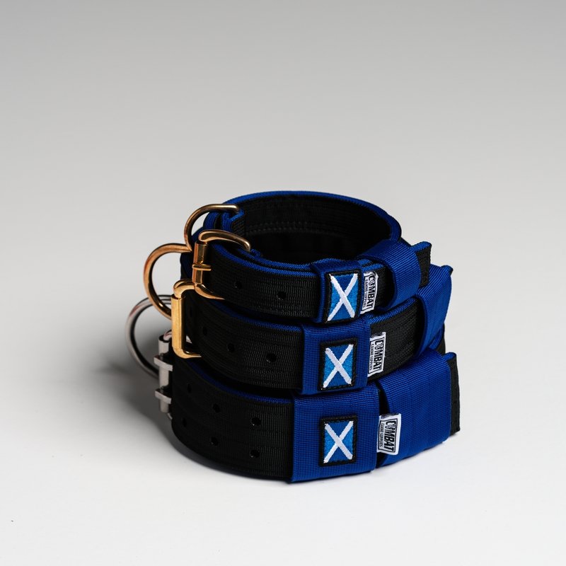 Black + Blue (Scottish) Heavy Duty Dog Collars