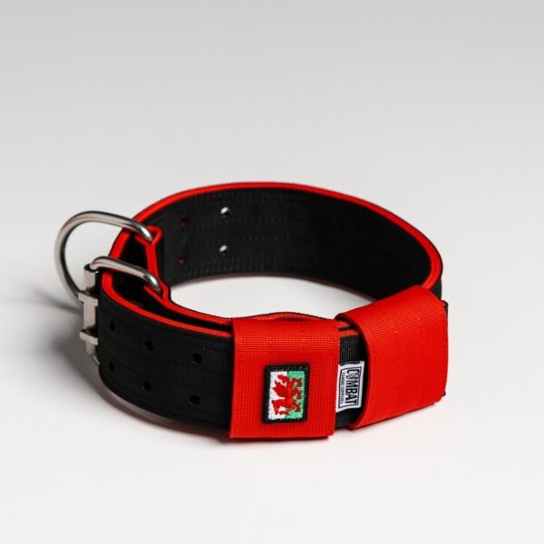 Black + Red (Welsh) - Image 4