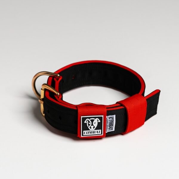 Black + Red (Welsh) - Image 3