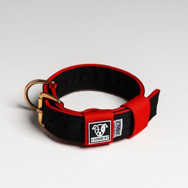 Black + Red (Welsh) - Image 2