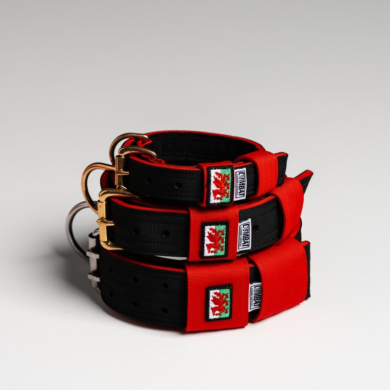 Black + Red (Welsh) Heavy Duty Dog Collars