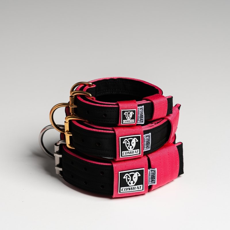 Black + Pink Heavy Duty Dog Collars