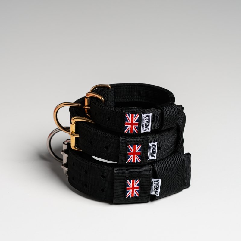 Solid Black (British) Heavy Duty Dog Collars
