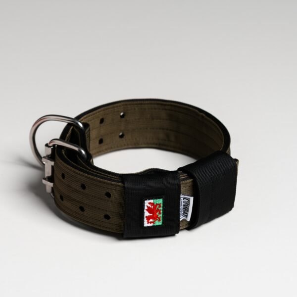 Olive + Black (Welsh) - Image 4