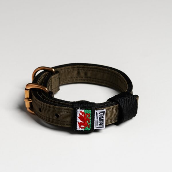Olive + Black (Welsh) - Image 2