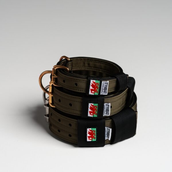 Olive + Black (Welsh) Heavy Duty Dog Collars