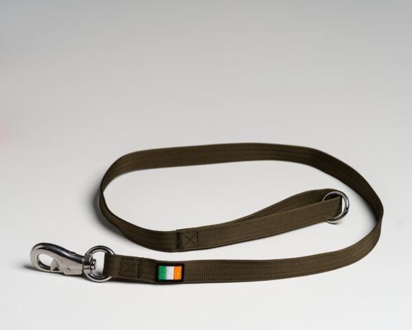 Olive (Irish) Leads - Image 3