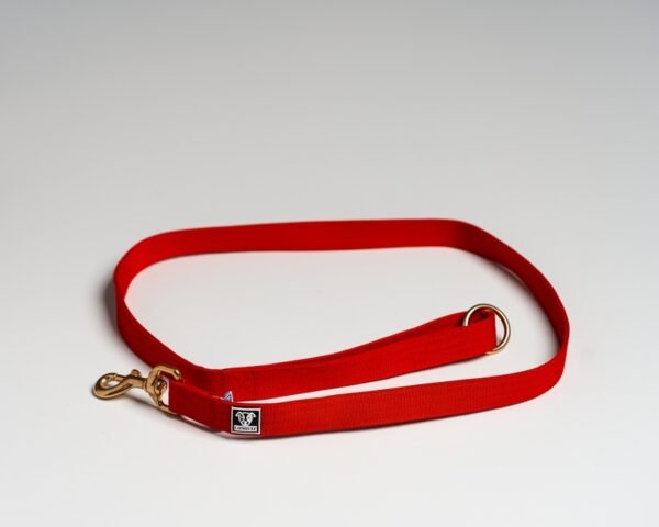 Red Leads - Image 2